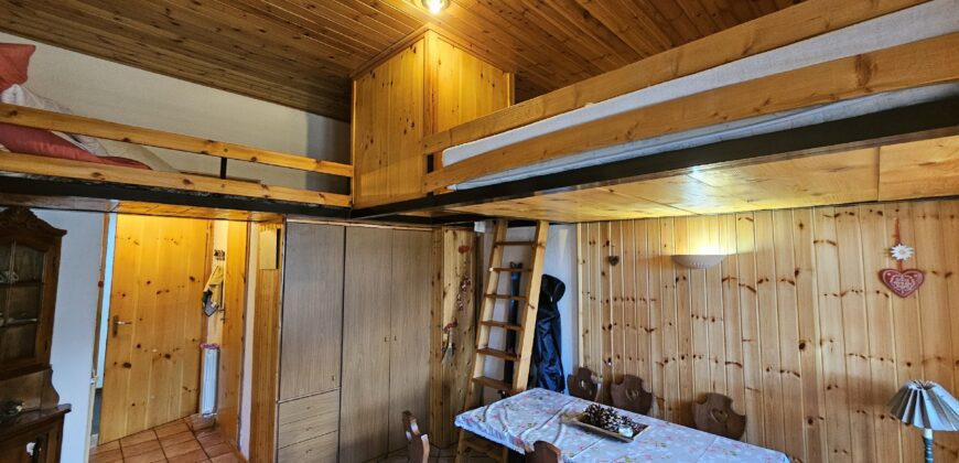 Terminillo monolocale con soppalco in legno